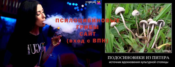 2c-b Алзамай