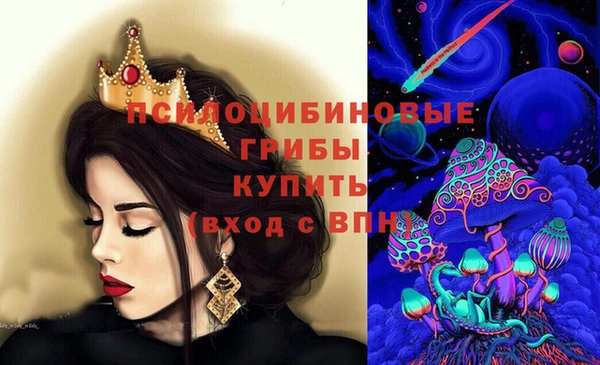 2c-b Алзамай