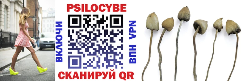 Псилоцибиновые грибы прущие грибы  ОМГ ОМГ как войти  Чистополь 
